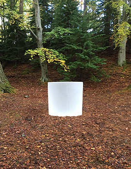 Roni Horn